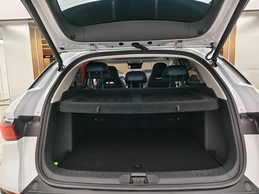 BYD Yuan Plus 2022 car image #14