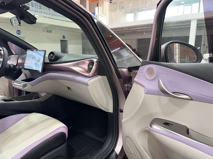 BYD Dolphin 2022 #14 BYD Dolphin 2022 immagine di auto #14