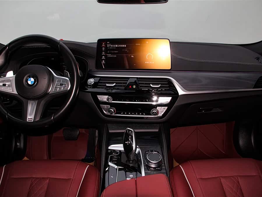 BMW 5 Series 2023 car image #14