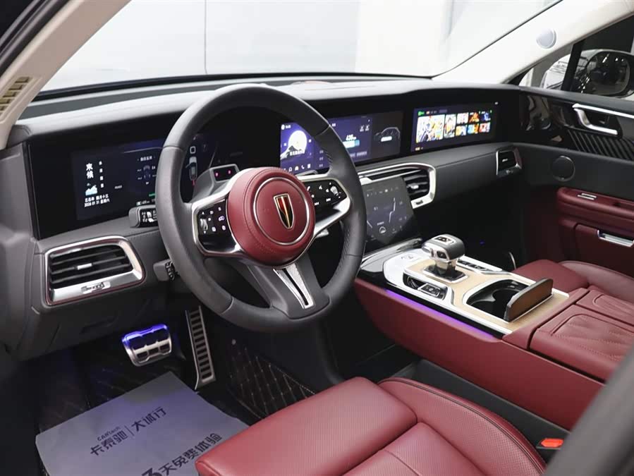 HongQi E-HS9 2023 immagine di auto #14
