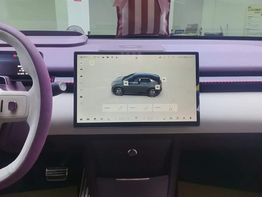 极氪 极氪X 2024 汽车图片 #14