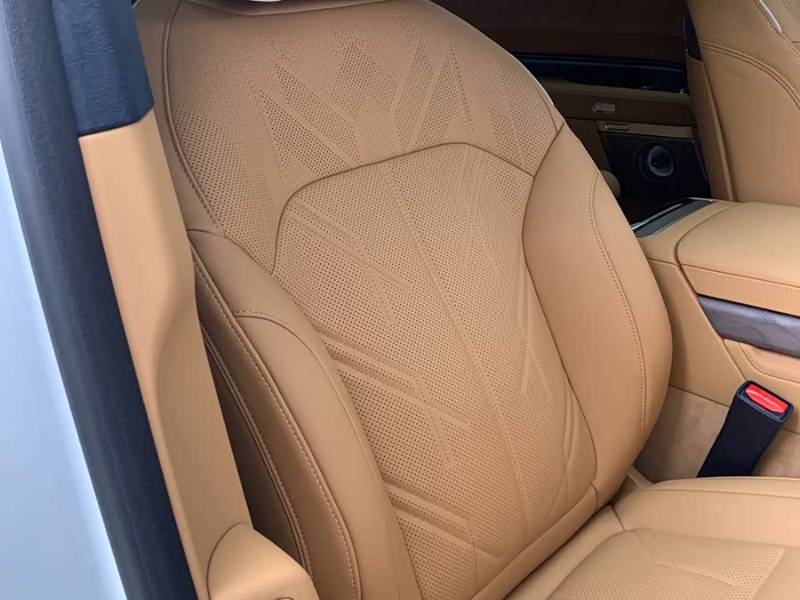 极氪 极氪9X 汽车图片 #14