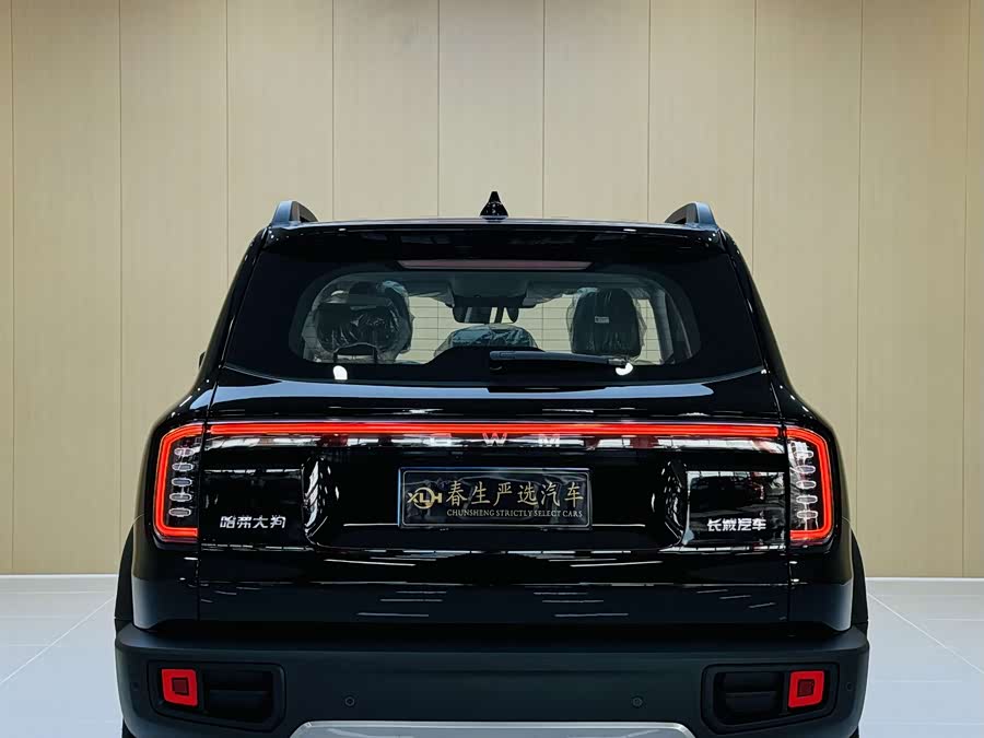 Haval X Dog / Dargo 2025 #14 Haval X Dog / Dargo 2025 immagine di auto #14