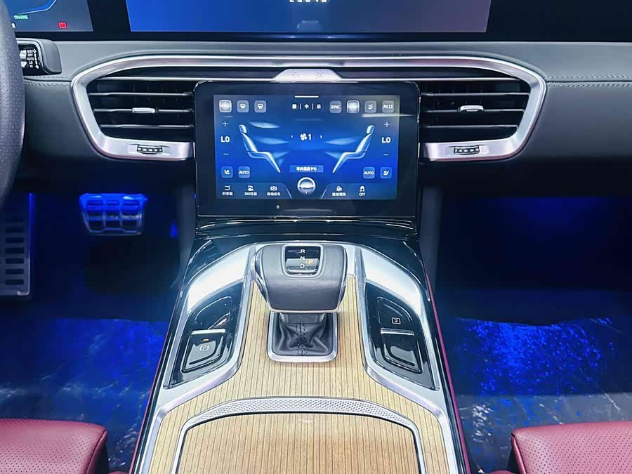 HongQi E-HS9 2023 image de voiture #14