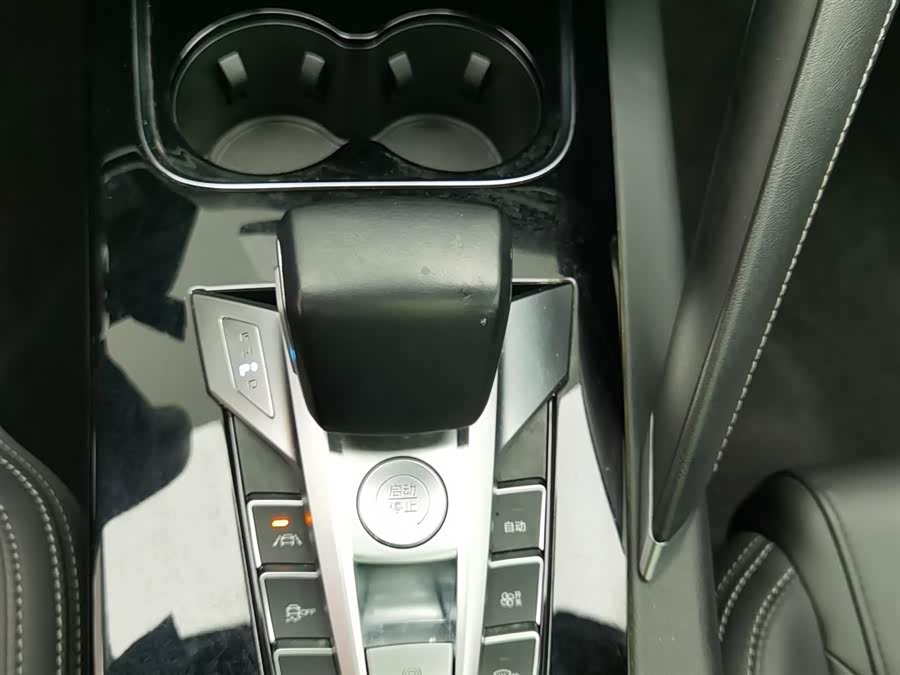 BYD Song Pro 2020 immagine di auto #14