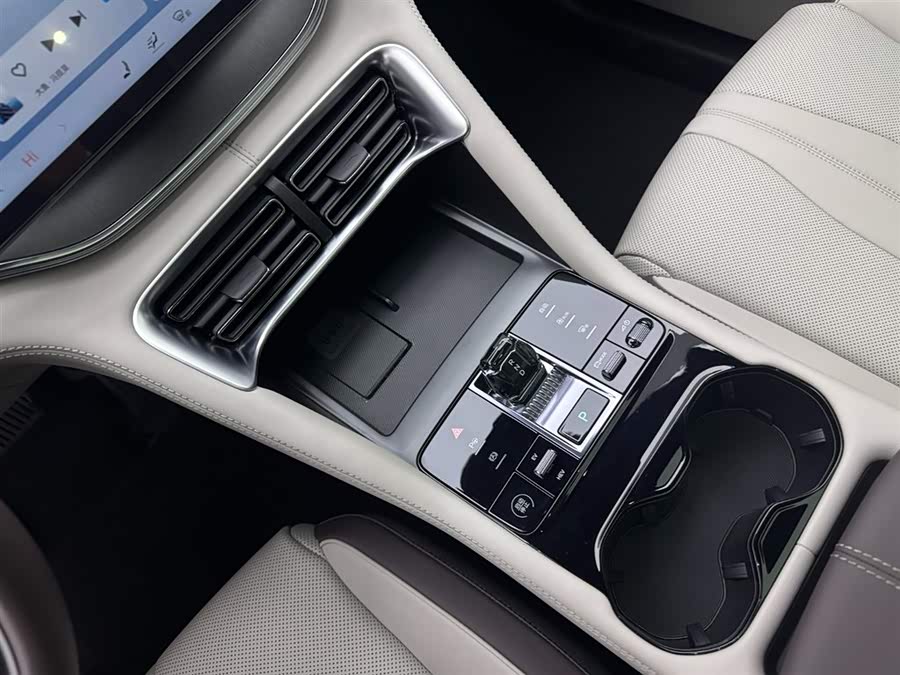 BYD Song Plus New Energy 2024 #14 BYD Song Plus New Energy 2024 car image #14