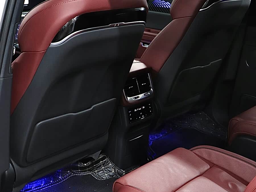 HongQi E-HS9 2023 immagine di auto #14