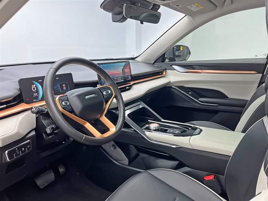 Haval H6 2023 car image #14