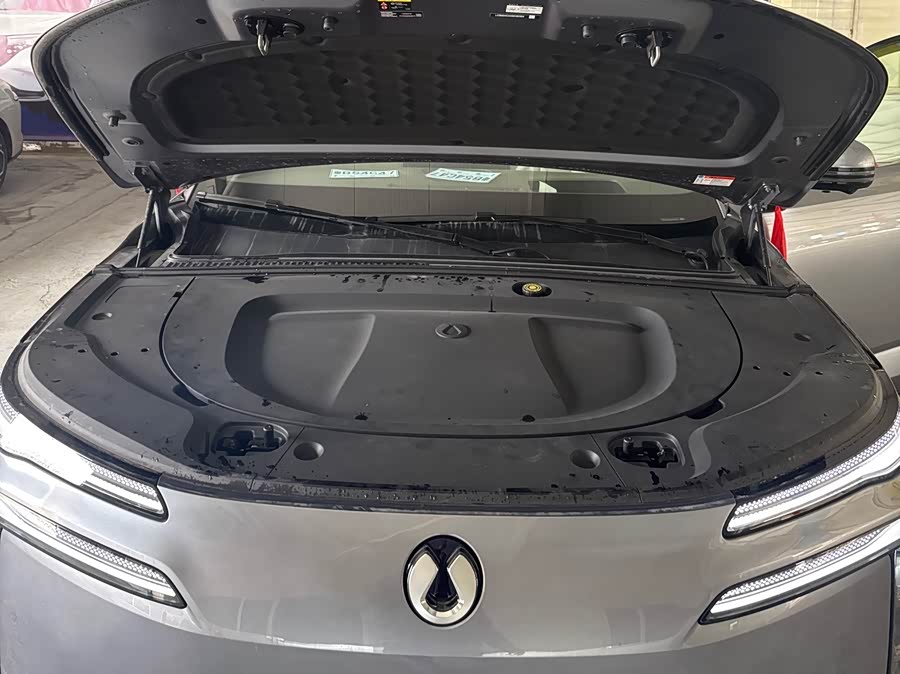 Denza #14 Denza car image #14