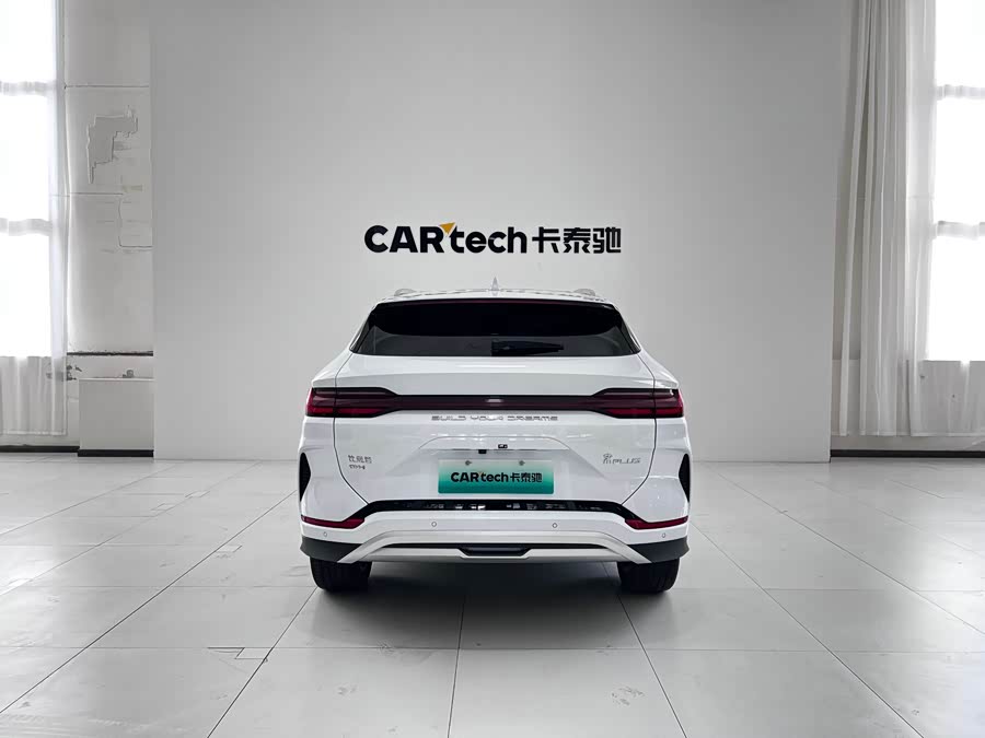 BYD Song Plus New Energy 2023 car image #14