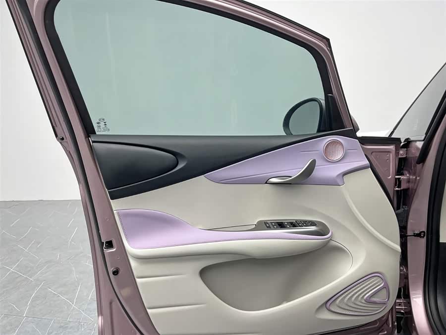 BYD Dolphin 2023 immagine di auto #14