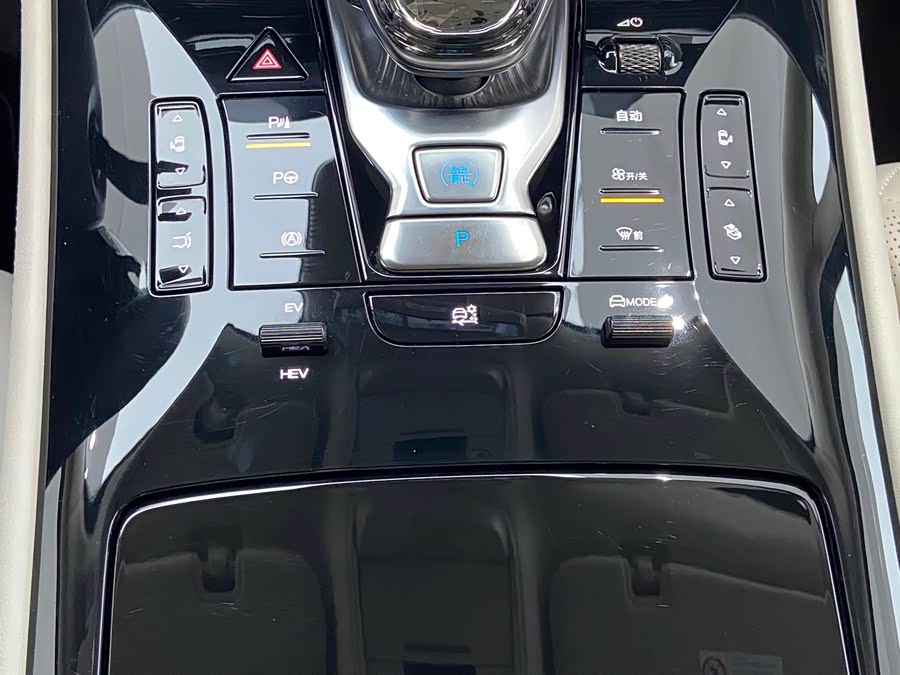 Denza D9 2024 car image #14