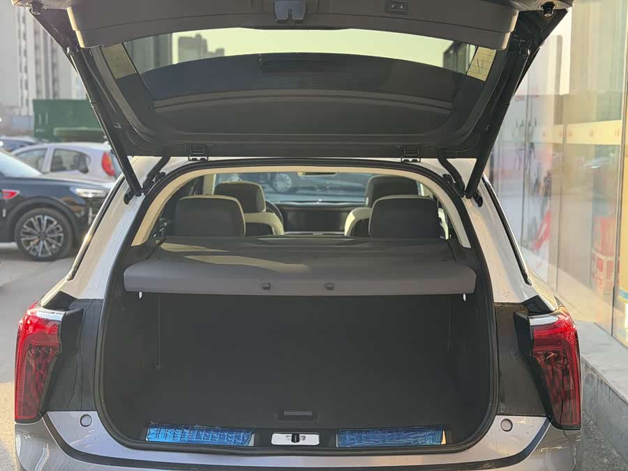 HongQi E-HS9 2022 imagen de coche #14