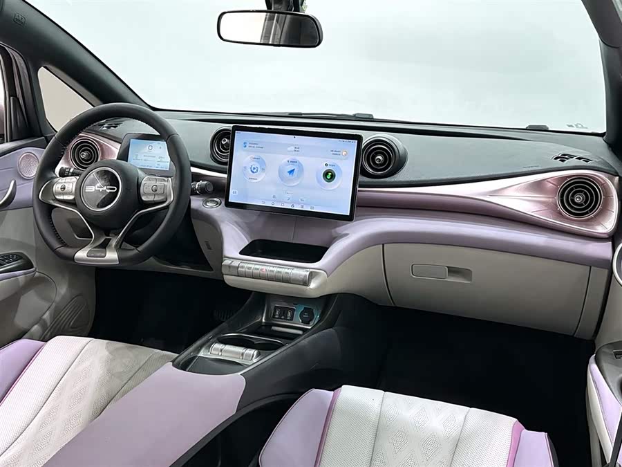 BYD Dolphin 2024 imagem de carro #14