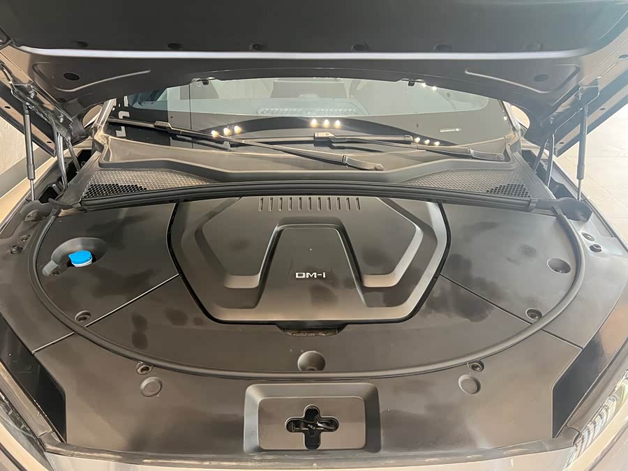 BYD Song Plus New Energy 2024 car image #14