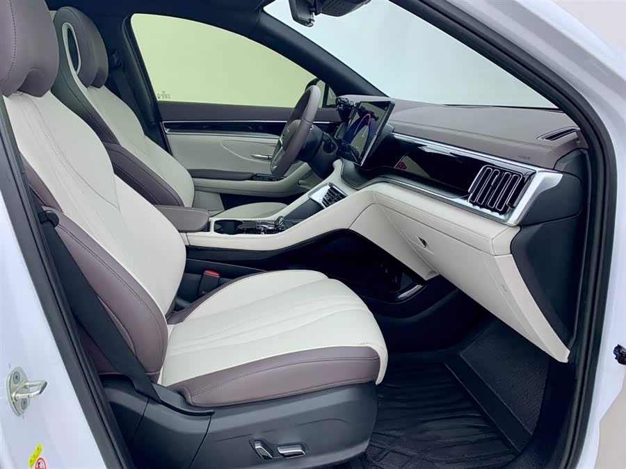 BYD Song Plus New Energy 2025 car image #14
