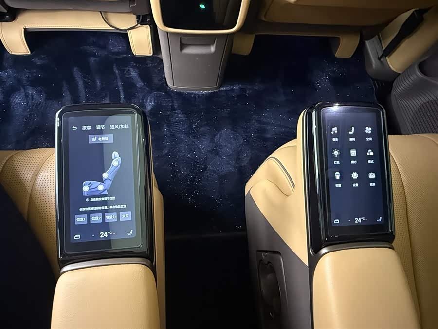 Denza D9 2023 изображение автомобиля #14