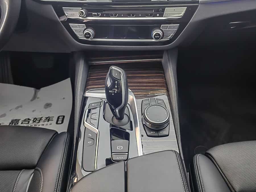 BMW 5 Series 2019 car image #14