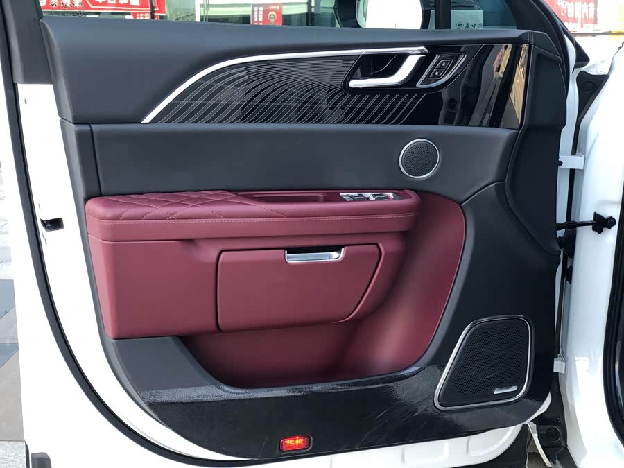 HongQi E-HS9 2021 car image #14