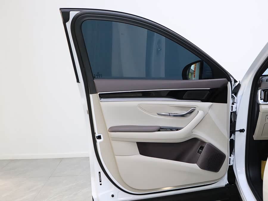 BYD Song Plus New Energy 2024 car image #14