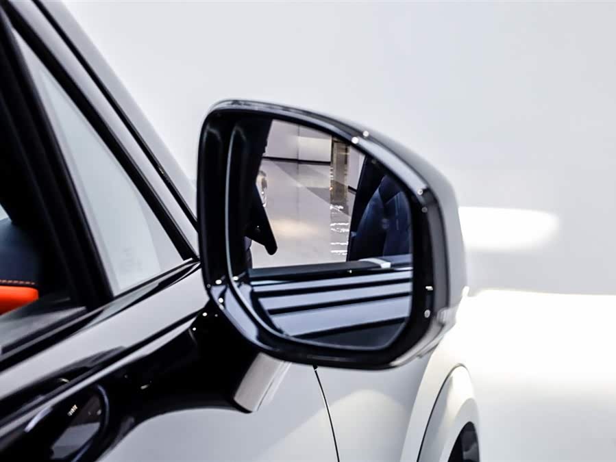 极氪 极氪9X 2026 汽车图片 #14