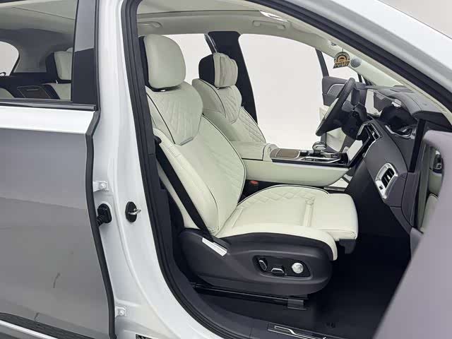 HongQi E-HS9 2023 image de voiture #14