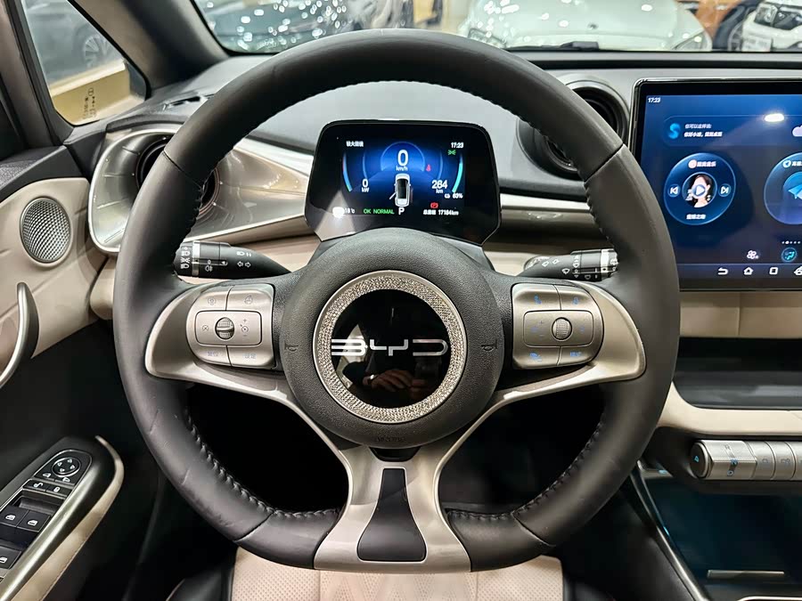 BYD Dolphin 2024 imagem de carro #14