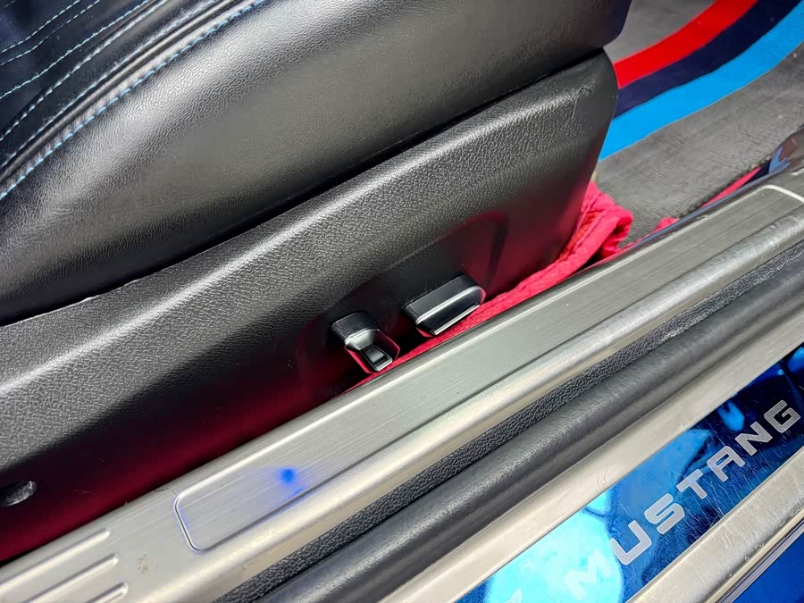 Ford Mustang 2019 car image #14