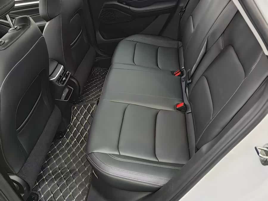 Emgrand 2021 car image #14