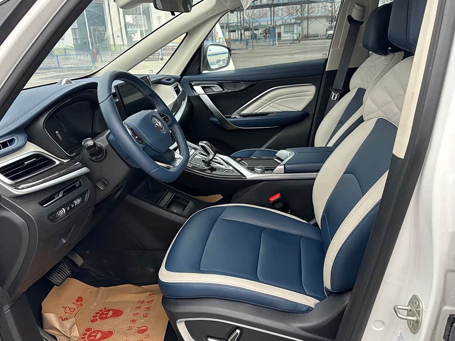 睿蓝汽车 枫叶80v PRO 2024 汽车图片 #14