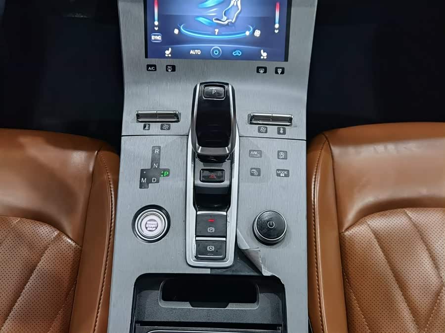 Chery Tiggo 8 Plus 2021 immagine di auto #14