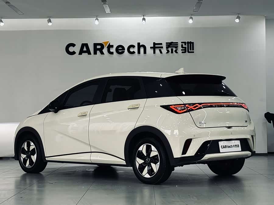 BYD Dolphin 2024 imagem de carro #14