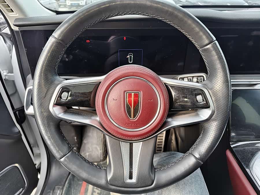 HongQi E-HS9 2021 immagine di auto #14