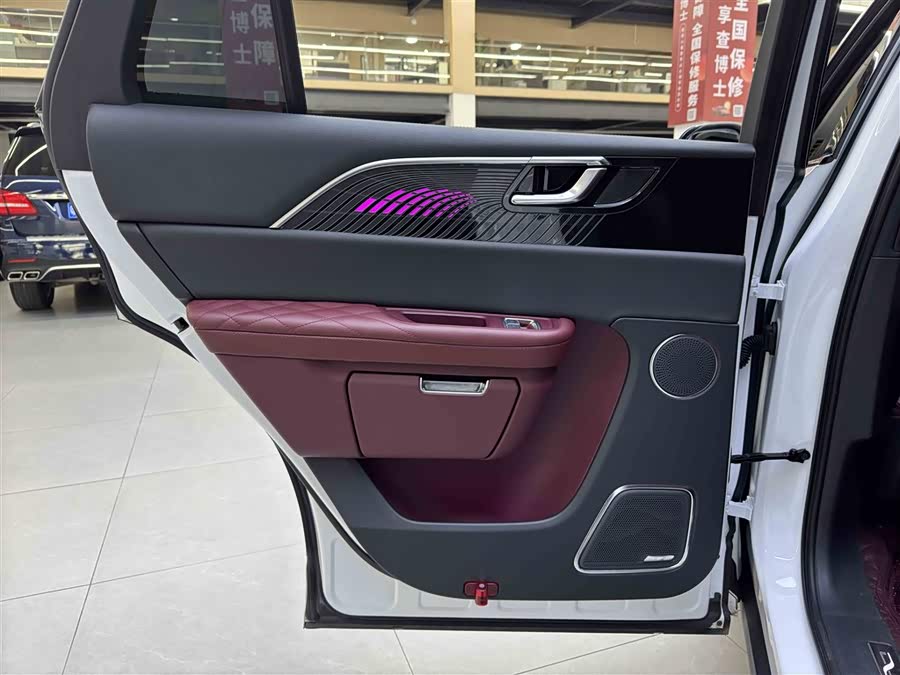 HongQi E-HS9 2021 image de voiture #14