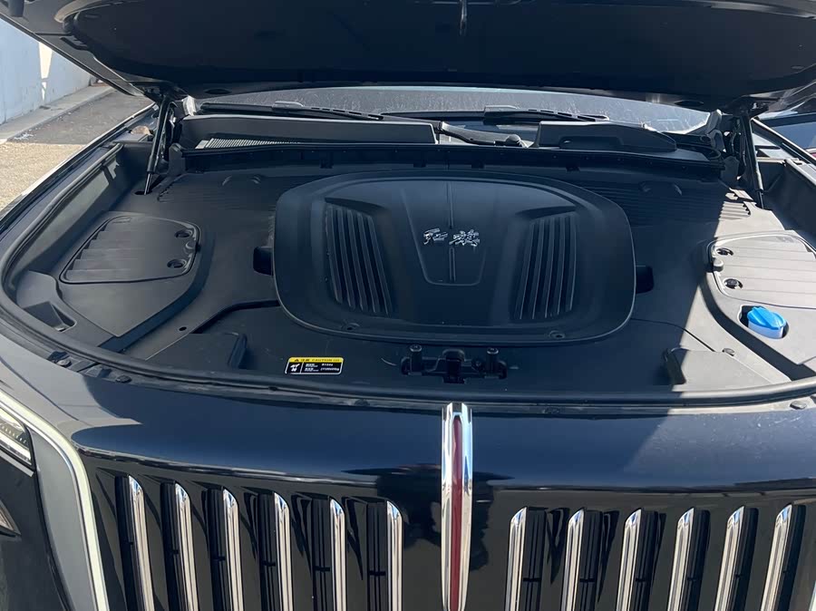 HongQi E-HS9 2023 image de voiture #14