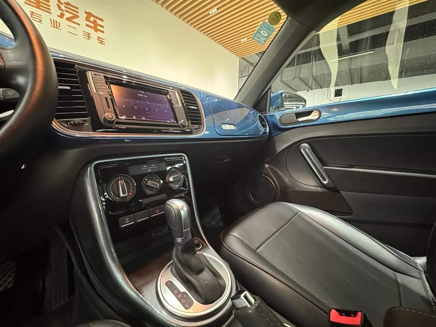 Volkswagen Beetle 2020 immagine di auto #14