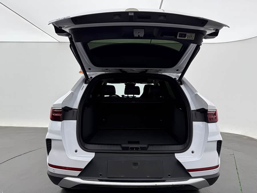 BYD Song Plus New Energy 2022 immagine di auto #14