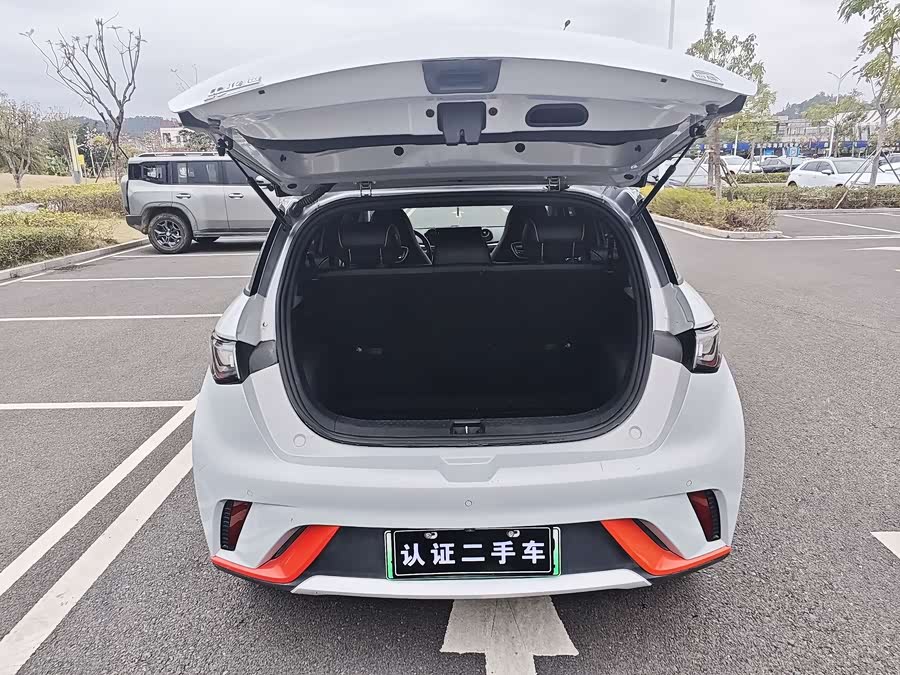 BYD Dolphin 2021 imagen de coche #14