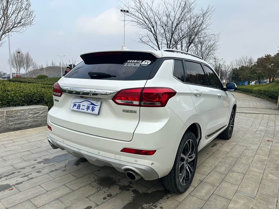 Haval H6 Coupe 2018 изображение автомобиля #14