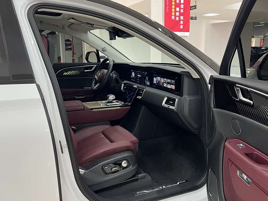 HongQi E-HS9 2023 immagine di auto #14