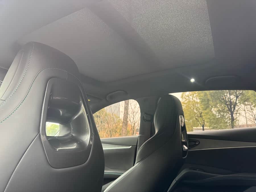 BYD Tang New Energy 2022 car image #14