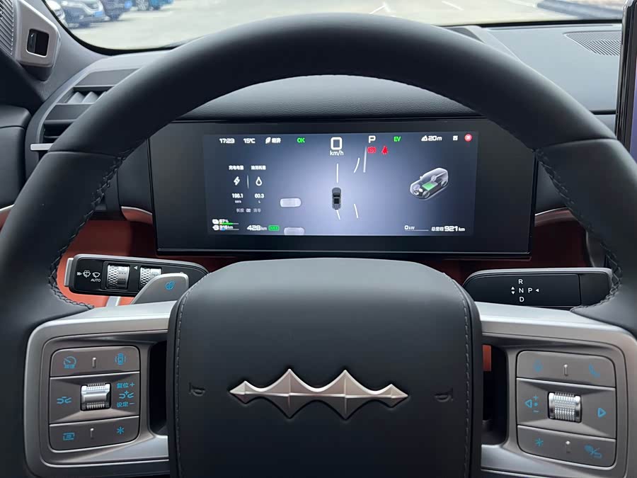 FangChengBao Tiger 7 2025 immagine di auto #14