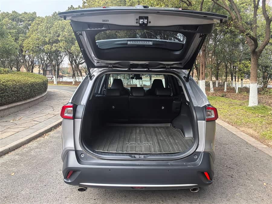 Toyota Wildlander 2023 car image #14