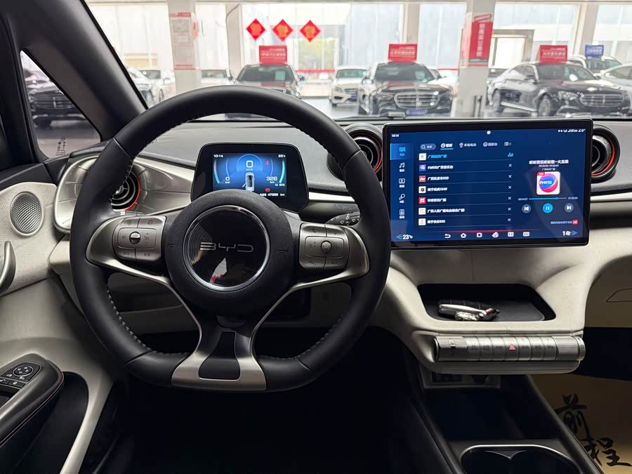 BYD Dolphin 2023 imagem de carro #14