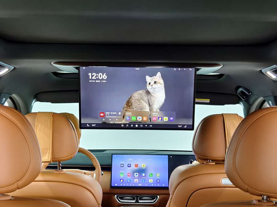 Deepal S09 2025 car image #14