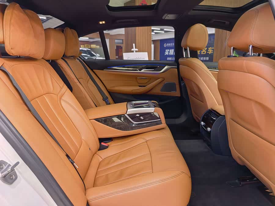 BMW 5 Series 2017 car image #14