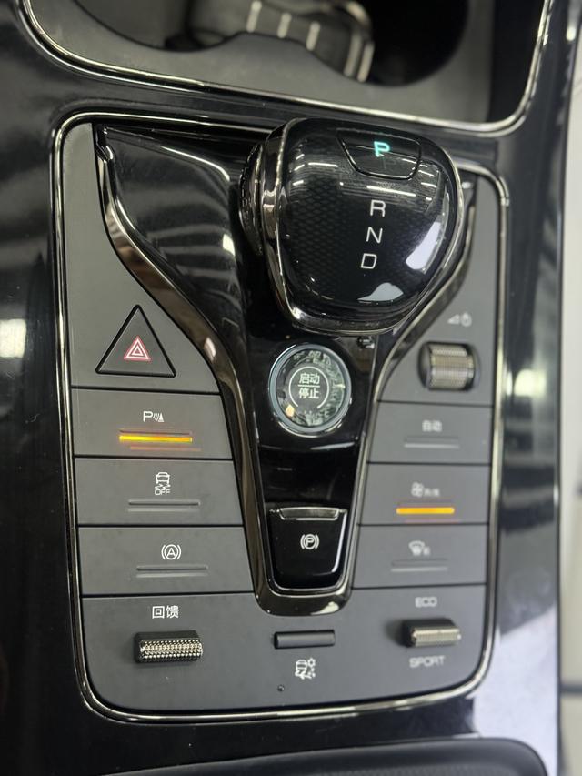 BYD e9 2021 #14 BYD e9 2021 car image #14