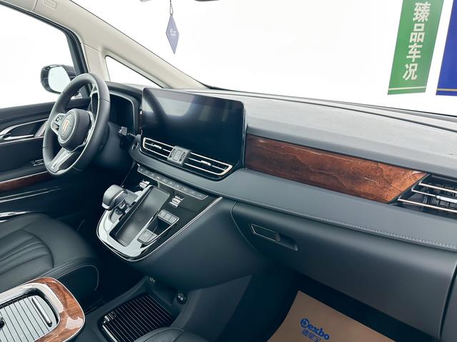 HongQi HQ9 2023 car image #14