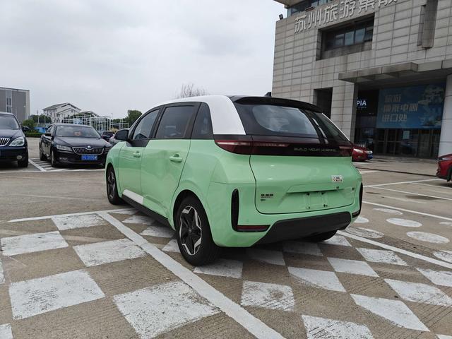 BYD D1 2021 car image #14