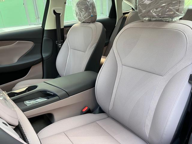 HongQi TianGong 05 2025 car image #14